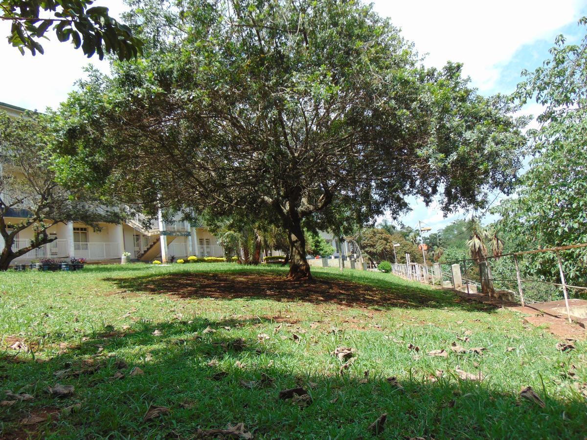 Brisk Hotel Triangle Njeru Buitenkant foto